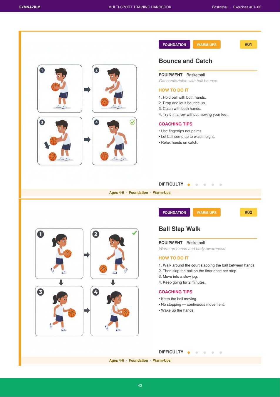 Gymnazium handbook sport divider