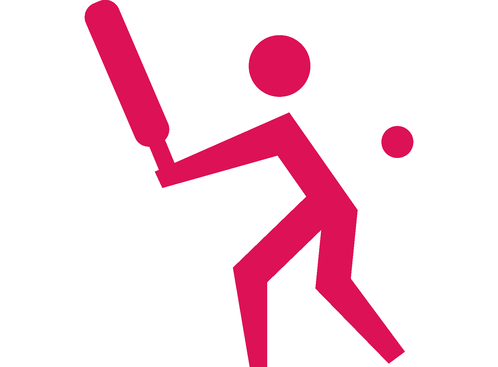 Cricket pictogram